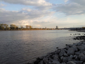 Rhein bei Bonn